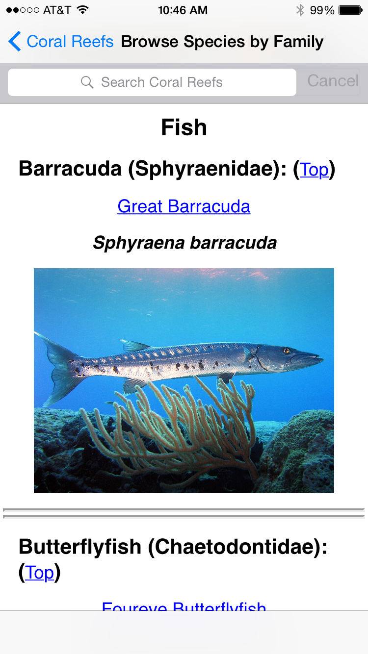 Barracuda